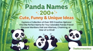 Panda Names